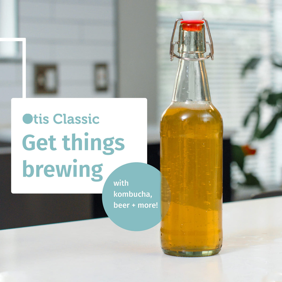 Otis Classic gift-ready bottle set with ceramic caps for housewarming.