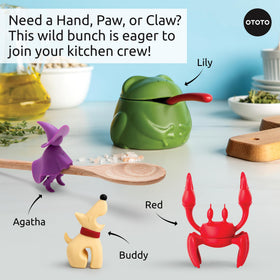 OTOTO Lily gift-ready frog salt cellar makes a fun, functional kitchen accessory.