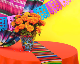 Oudain multicolor serape pattern adds vibrant ambiance to parties.
