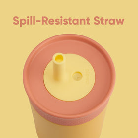 Owala Kids Tumbler removable straw is easy to clean after snacks