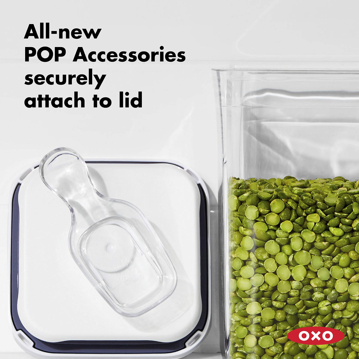 OXO Good Grips Mini POP 0.2 qt size detail for herbs and spices.