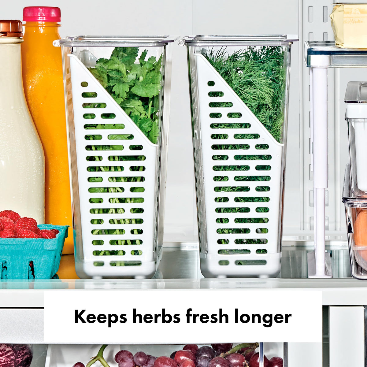 OXO Good Grips Produce Saver water-line feature used to hydrate herbs efficiently.