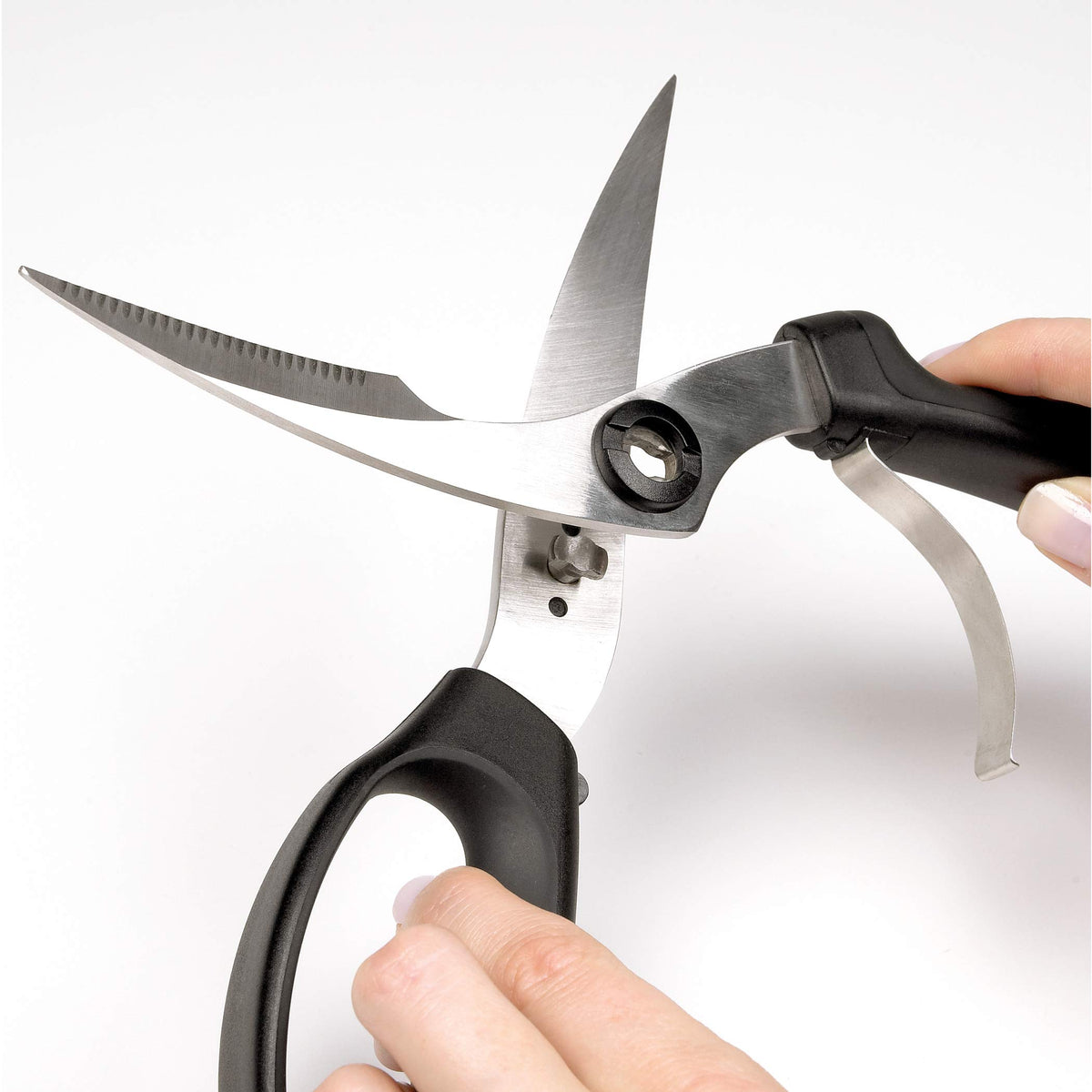 OXO Good Grips poultry shears on counter ready for meal prep.