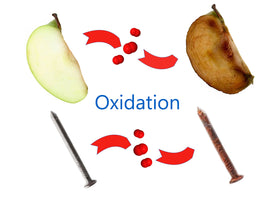 PackFreshUSA cake preservation bag close-up demonstrates oxidation protection for flavor