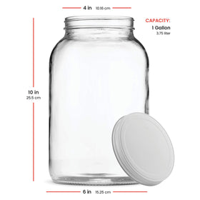 Paksh Novelty dishwasher-safe jar simplifies cleaning after batch brewing.