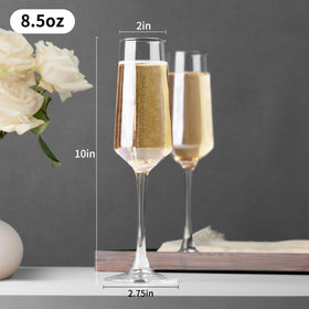 PARACITY 8.5oz champagne glasses designed for elegant pours at gatherings.