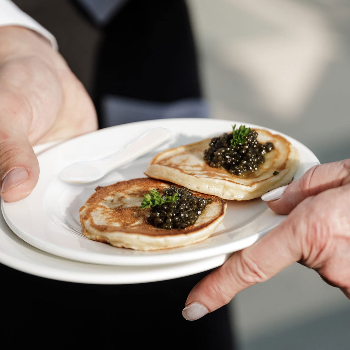 Patelai 20-piece set offers plentiful service for guests.
