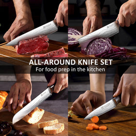 PAUDIN 8-inch carving knife for roasts and poultry slices