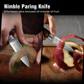 PAUDIN paring knife slicing fruits and vegetables with an ultra-sharp edge.
