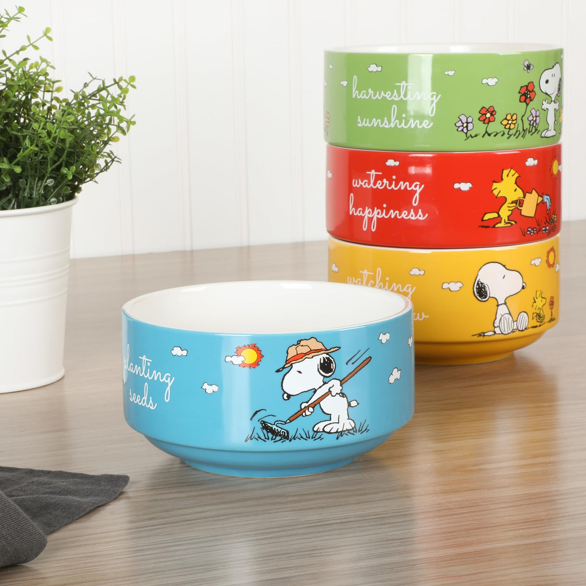 Peanuts decorated stoneware bowls ideal for soups and snacks