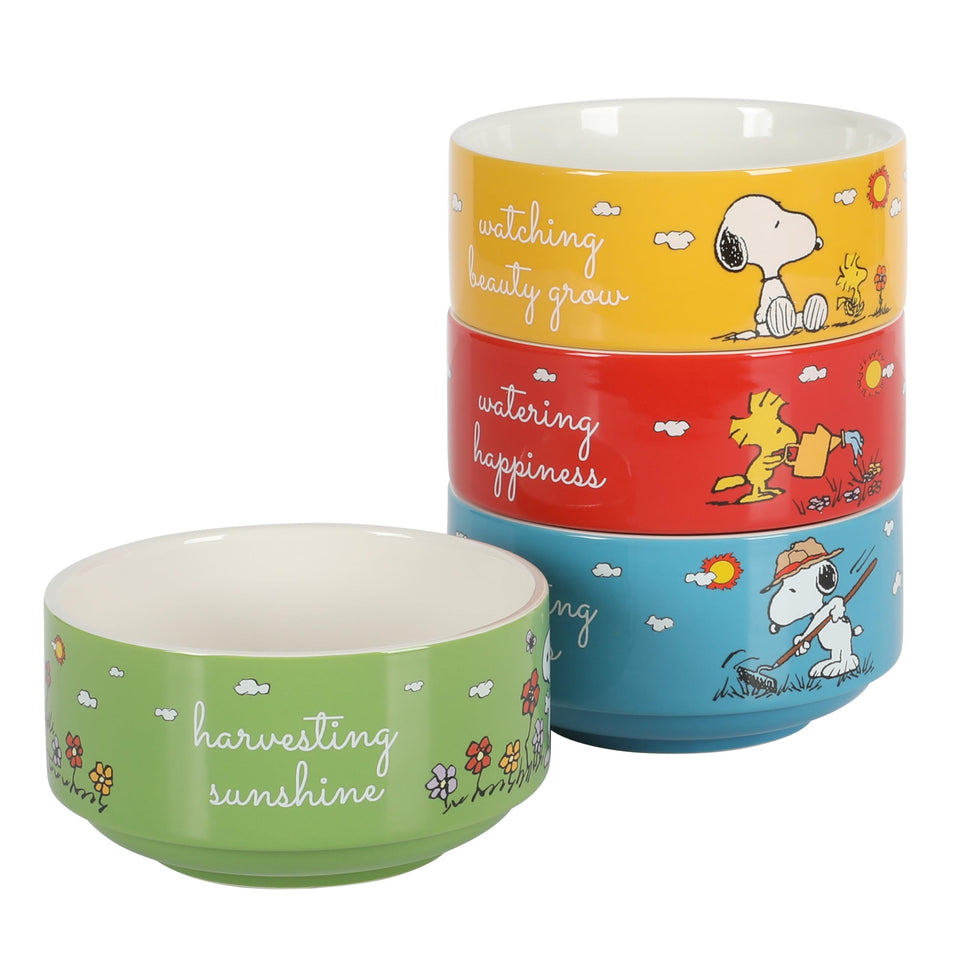 Peanuts Snoopy five-point-five inch garden-patch bowls for daily cereals