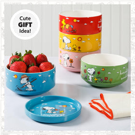 Peanuts Snoopy set makes an ideal gift for fans and collectors.