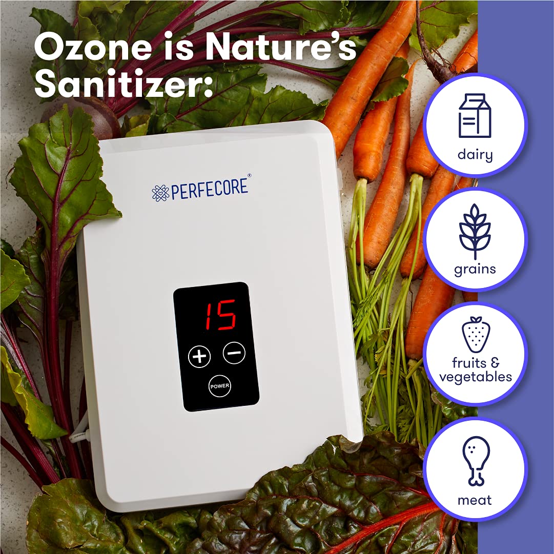 Perfecore diffuser stones ready for ozone treatment to purify drinking water.