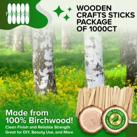 Perfect Stix bulk pack of 1000 sticks supports large art projects.