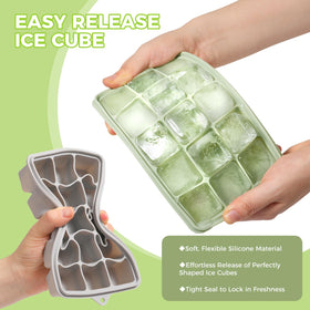 PET Hous easy-release trays with independent cavities for effortless ice pop-out.