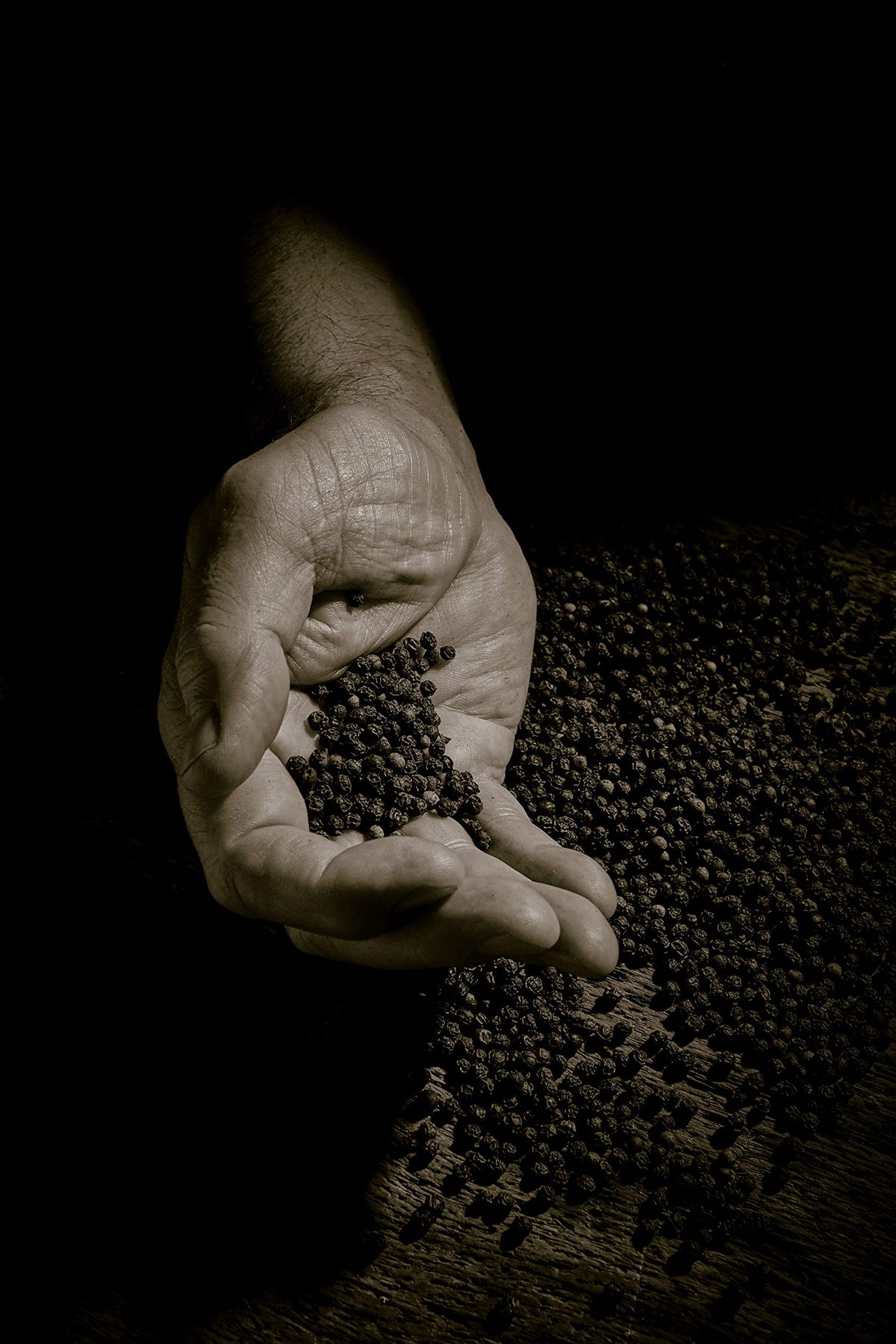 Peugeot pepper mill with lifetime guarantee for lasting use