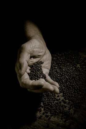 Peugeot pepper mill with lifetime guarantee for lasting use