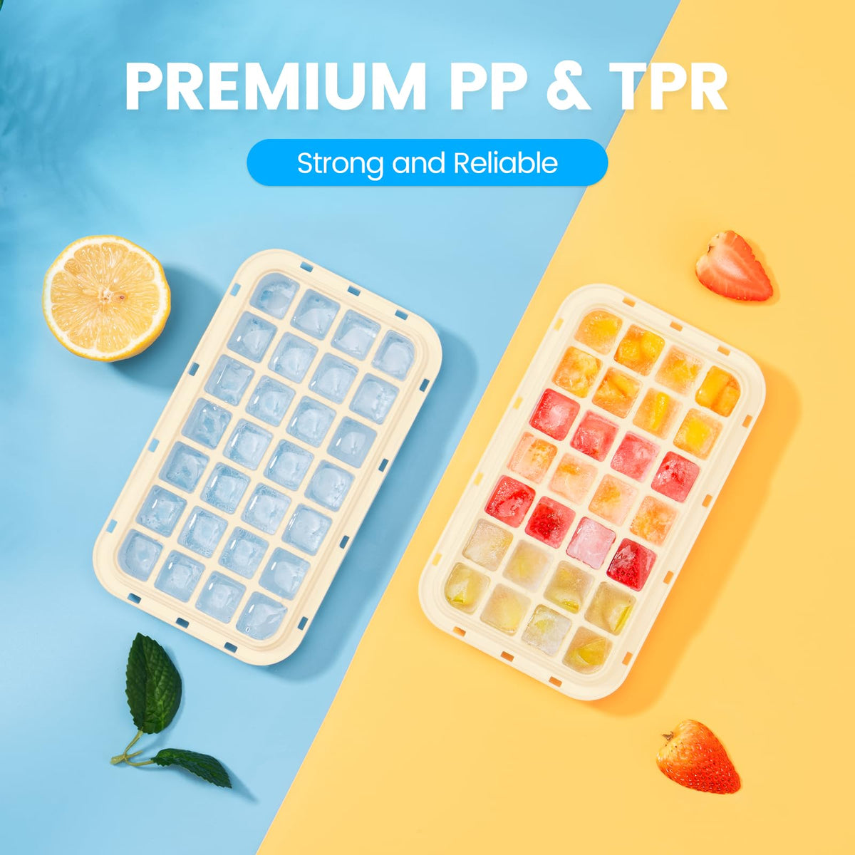 PHINOX two-tray set includes scoop and lid for convenient use.