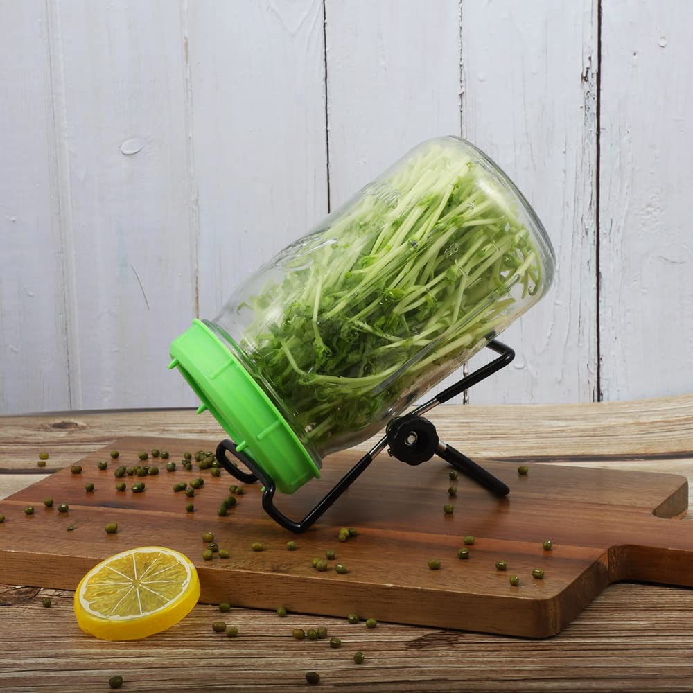 Picowe sprouting lid fits 86mm jars for easy home sprouting.