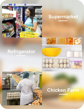 Pintuson egg carton for efficient warehouse storage and organization.