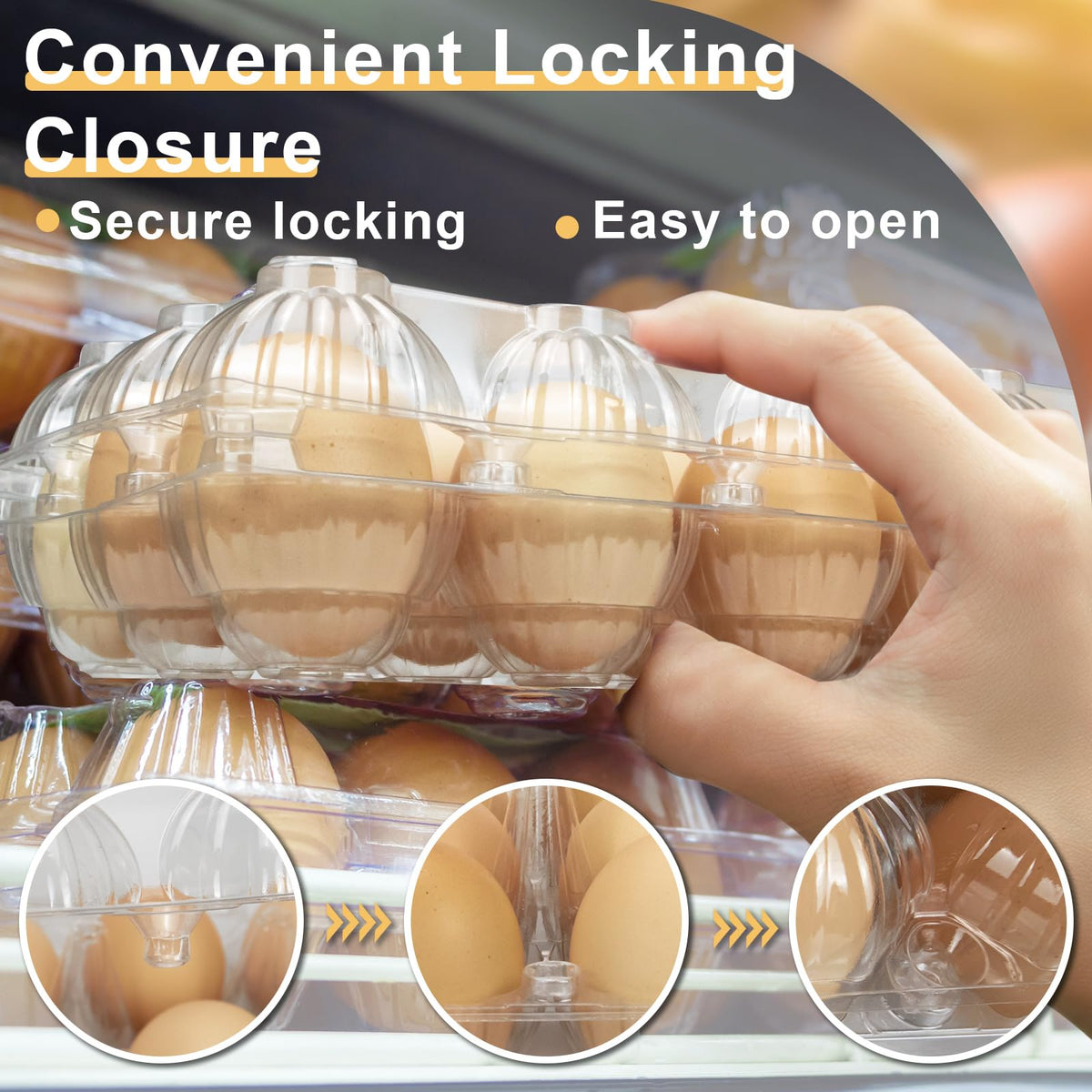 Pintuson grid-style 3x6 egg cartons with snap closure for secure transport.
