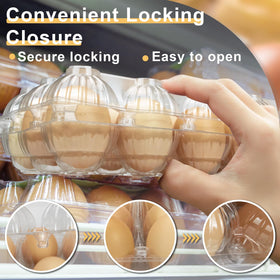 Pintuson grid-style 3x6 egg cartons with snap closure for secure transport.