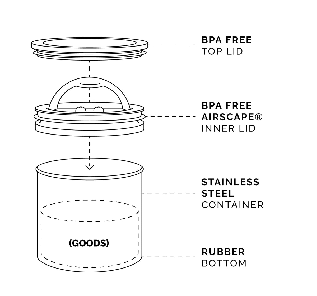Medium Airscape stores about 1 lb of whole bean coffee for easy access