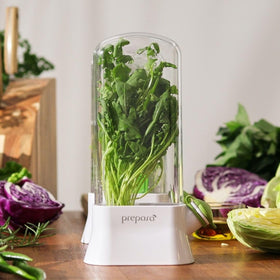 Prepara Herb Savor Eco clear greenhouse view herbs while staying hydrated
