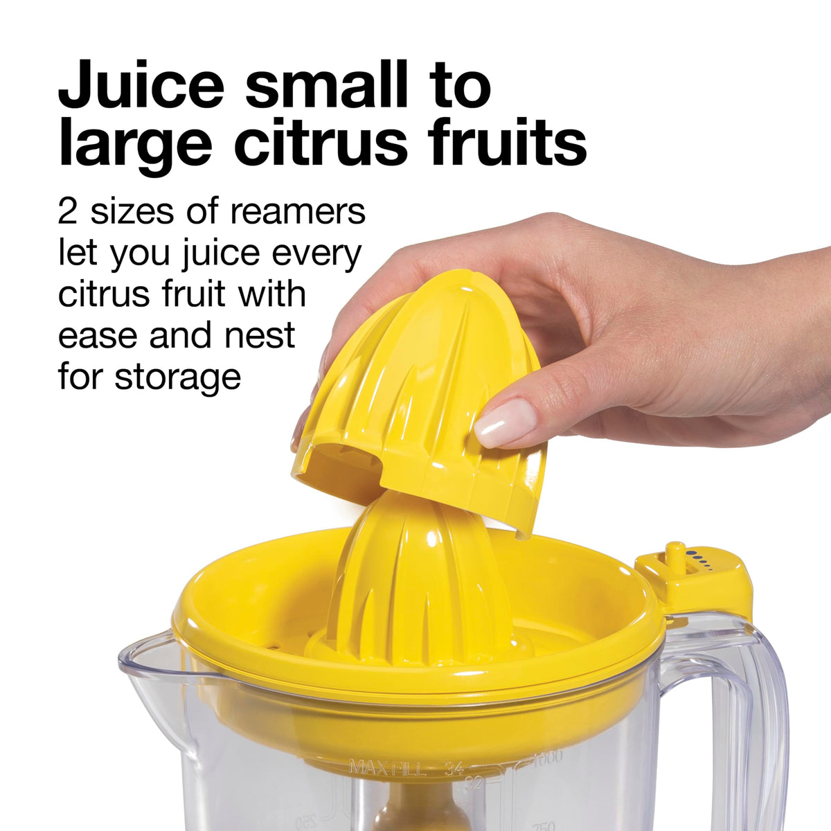 Sunny lemonade ingredients ready with the Proctor Silex Alex's Lemonade Stand juicer