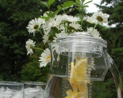 Prodyne Fruit Infusion Pitcher hand-wash care for lasting clarity and shine