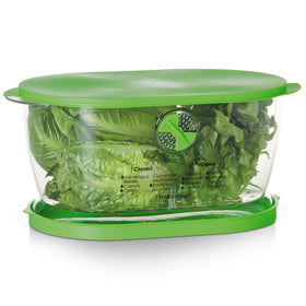 Progressive Prep Solutions Lettuce Keeper with water reservoir preserves produce freshness.