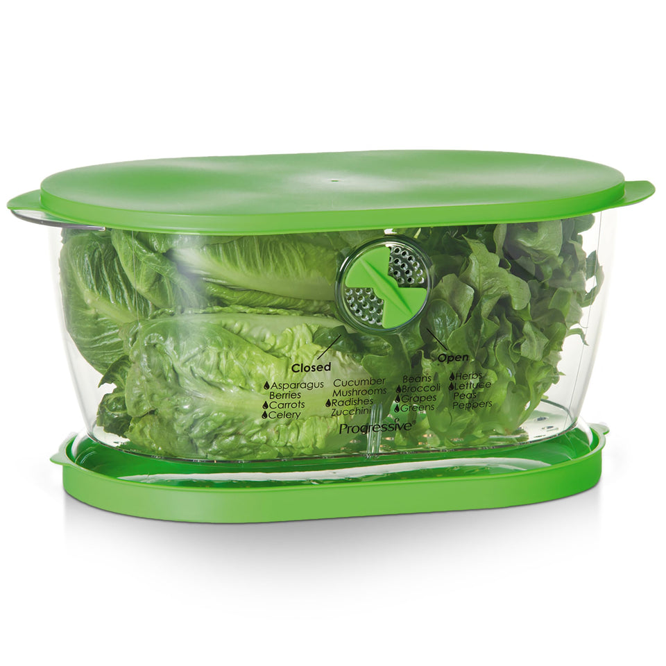 Progressive Prep Solutions Lettuce Keeper with water reservoir preserves produce freshness.