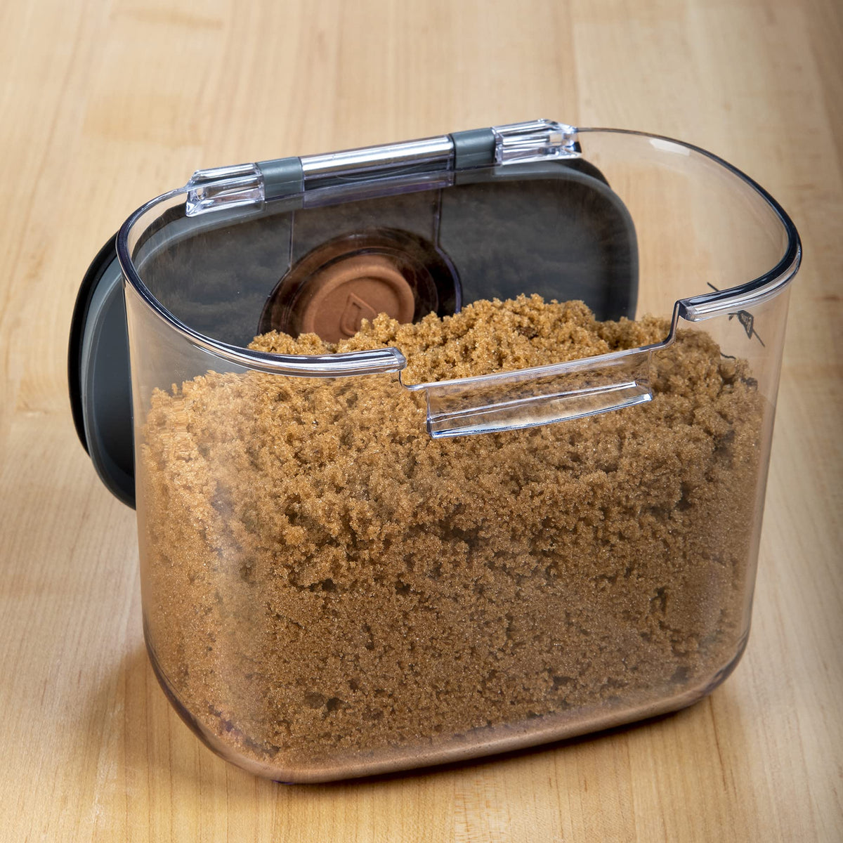 Progressive ProKeeper terra-cotta disk under lid maintains moisture