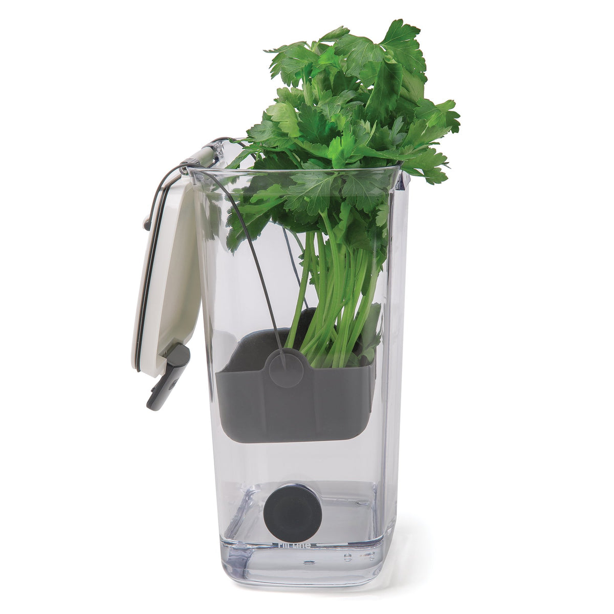 ProKeeper supports asparagus hydration with slim, space-saving design.