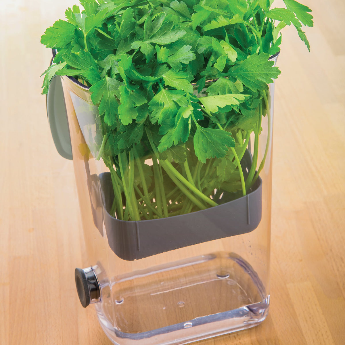 ProKeeper compact, durable kitchen solution for meal prep.