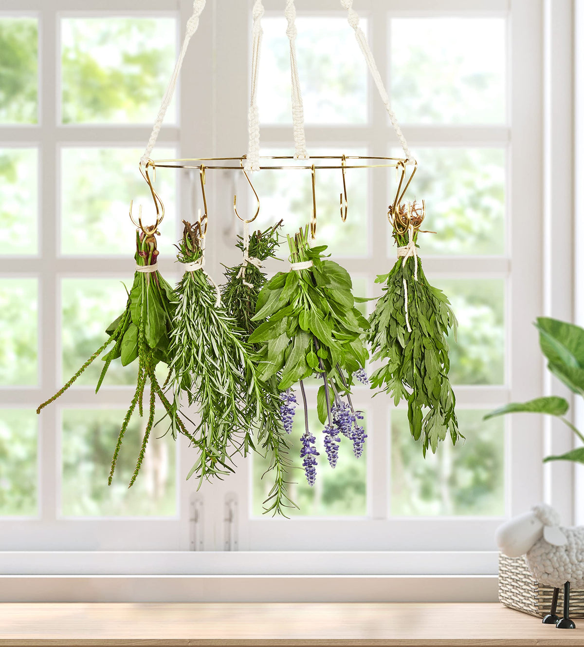 PROTITOUS gold-hooks drying rack enabling adjustable hanging for herbs and flowers