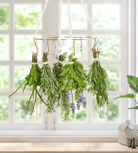 PROTITOUS gold-hooks drying rack enabling adjustable hanging for herbs and flowers