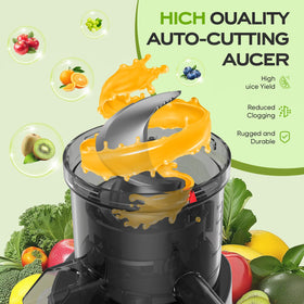 PSIIDAN operates quietly with a large 1.2L juice container for family batches.