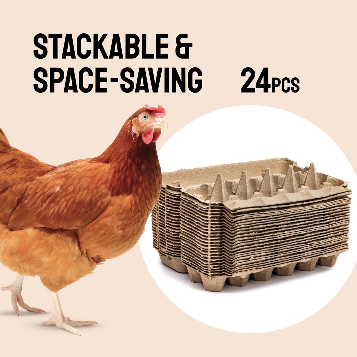 PTCOM Hatortempt bulk-pack for simple kitchen or vendor storage