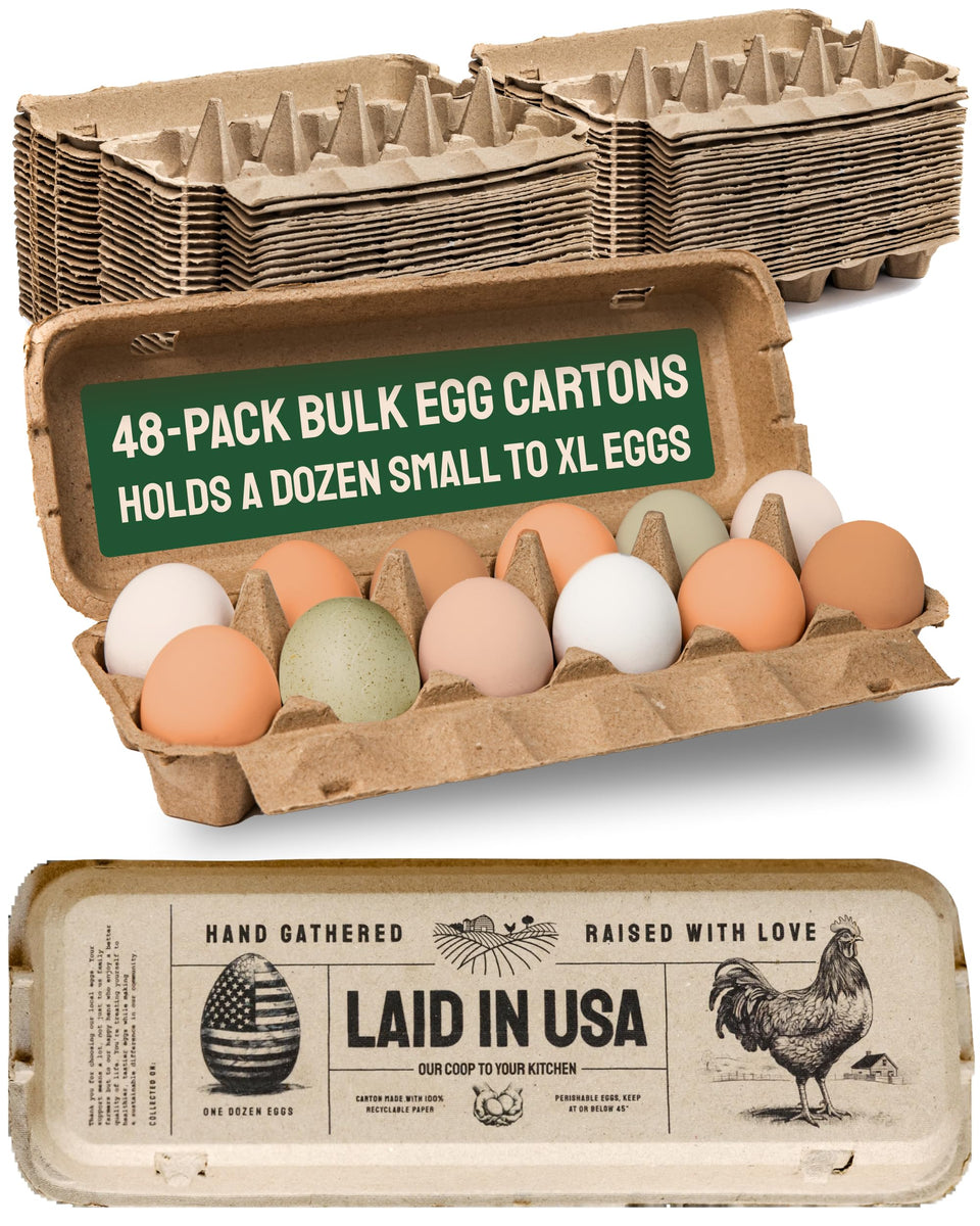 PTCOM Hatortempt 12 count egg cartons bulk pack for easy storage