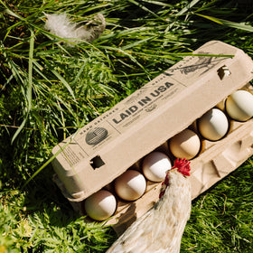 PTCOM Hatortempt green reusable egg cartons support eco-friendly storage