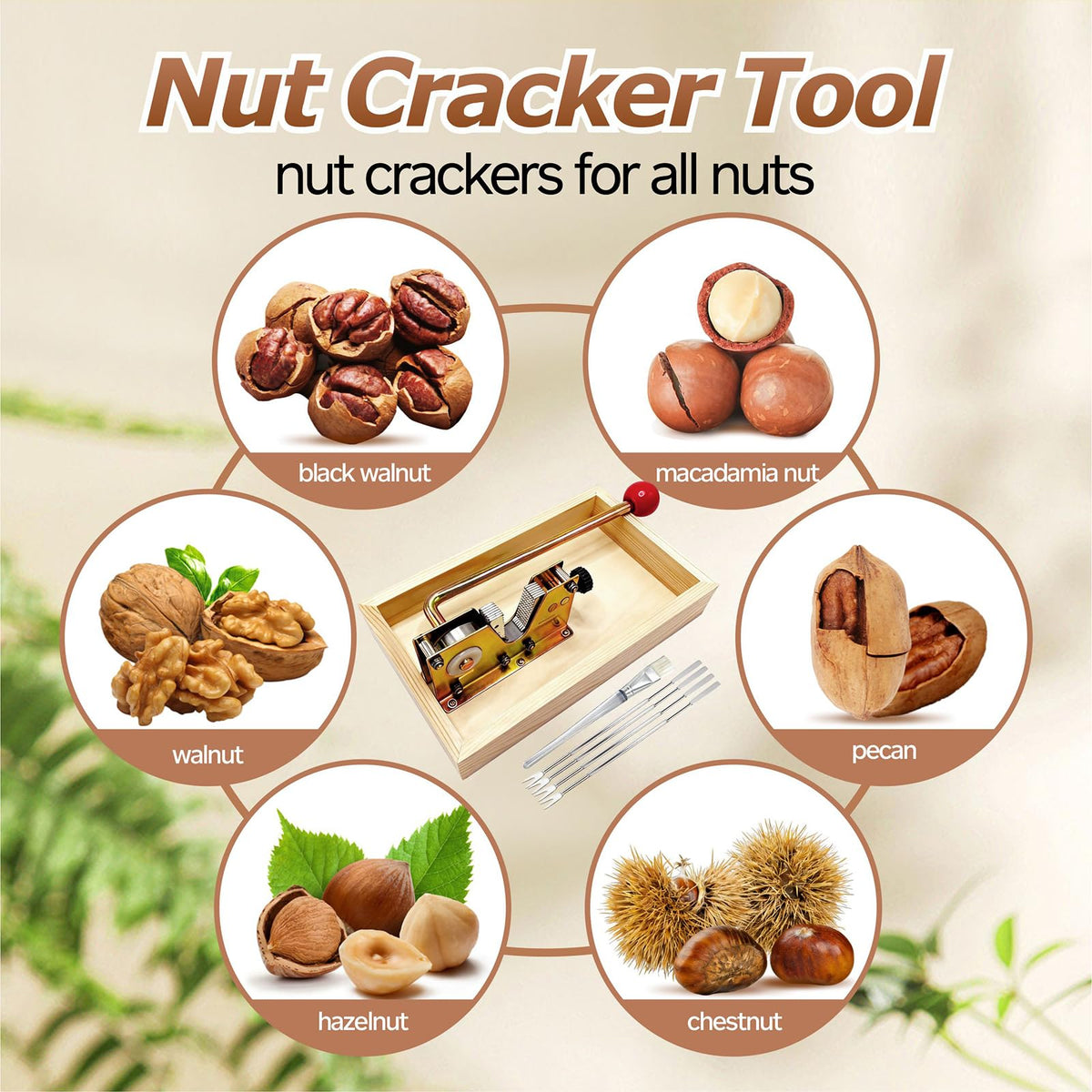 Qeykizy nut cracker with wooden collection bowl showing auto-drop kernels