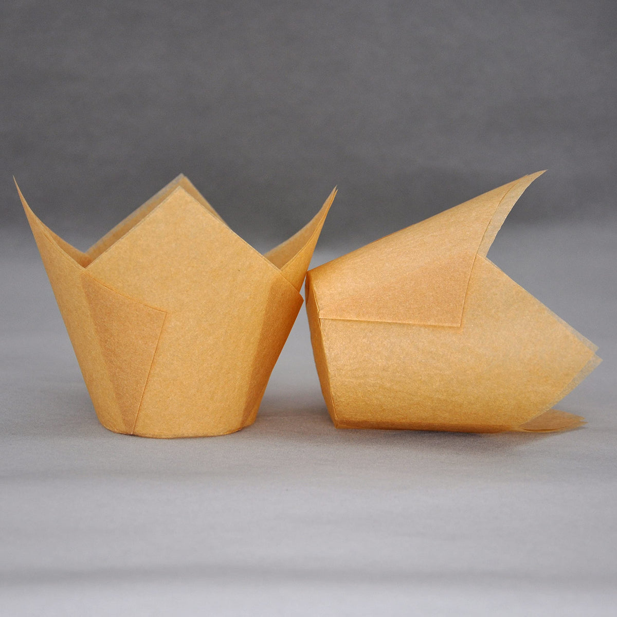 QLSmypkg Ideal for weddings and parties with tulip styling