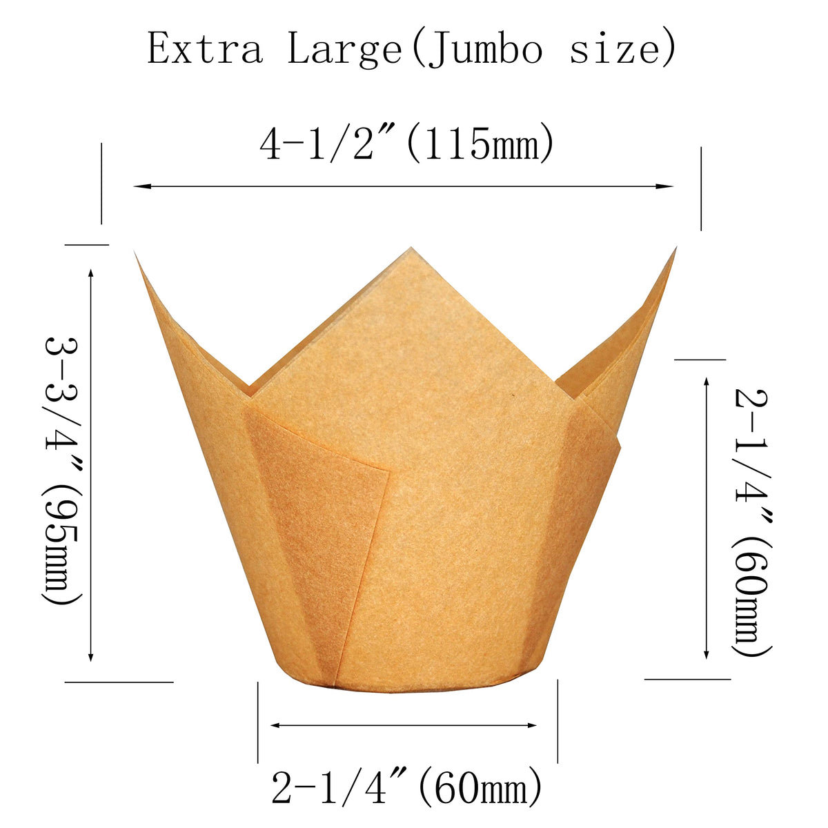 QLSmypkg Tulip design cups in natural colors for elegant cupcakes
