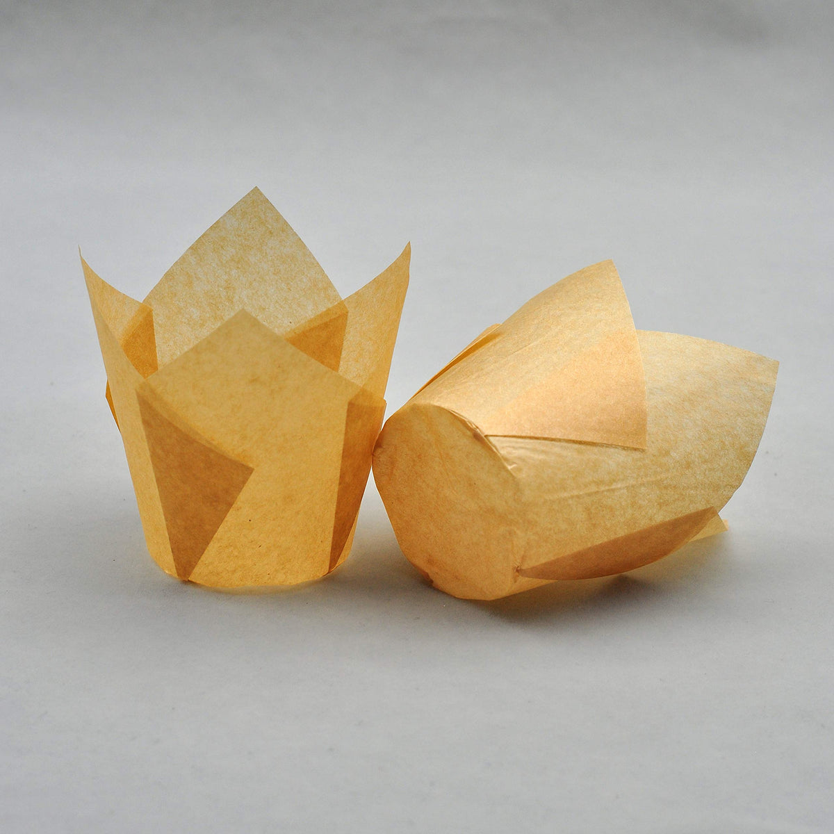 QLSmypkg tulip-design cupcake cups; elegant color for events.