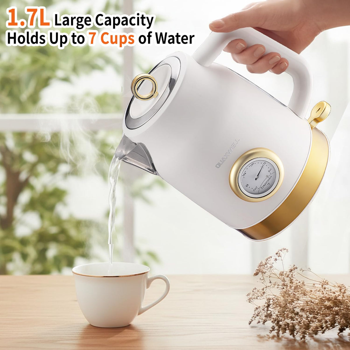 QUAXWELL 1500W rapid boil feature for fast hot water.