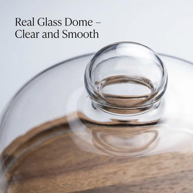 QWORK 7-inch dome fits small cakes and bite-sized appetizers