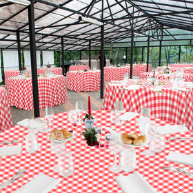 Ragnhild durable plastic tablecloth shielding a table from spills