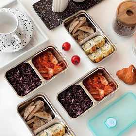 Rainmae portable lunchbox ideal for office, school, or outdoor picnics