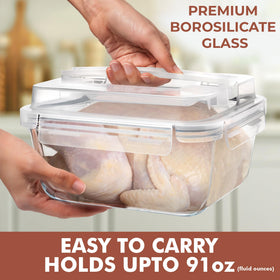 Razab freezer-microwave-dishwasher-safe glass container for frozen storage.